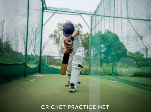 Cricket practice net
